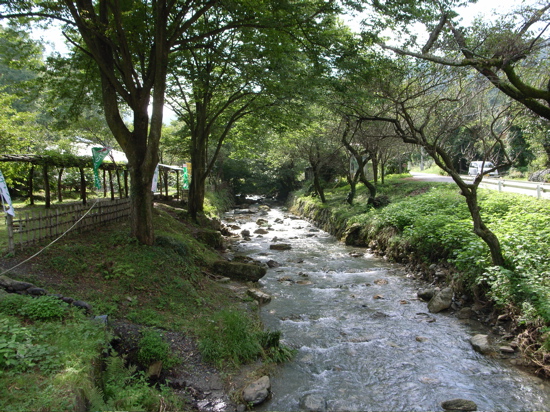07091308.jpg