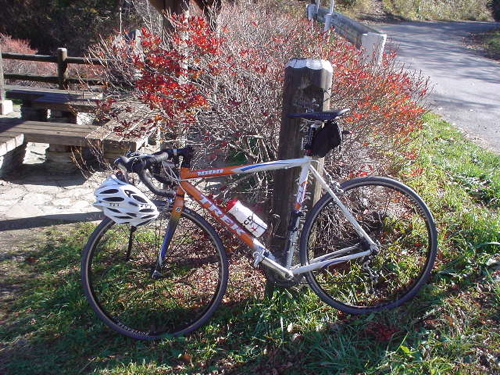 DSC04731.jpg